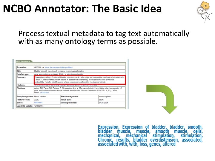NCBO Annotator: The Basic Idea Process textual metadata to tag text automatically with as