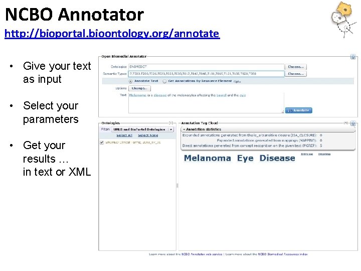NCBO Annotator http: //bioportal. bioontology. org/annotate • Give your text as input • Select