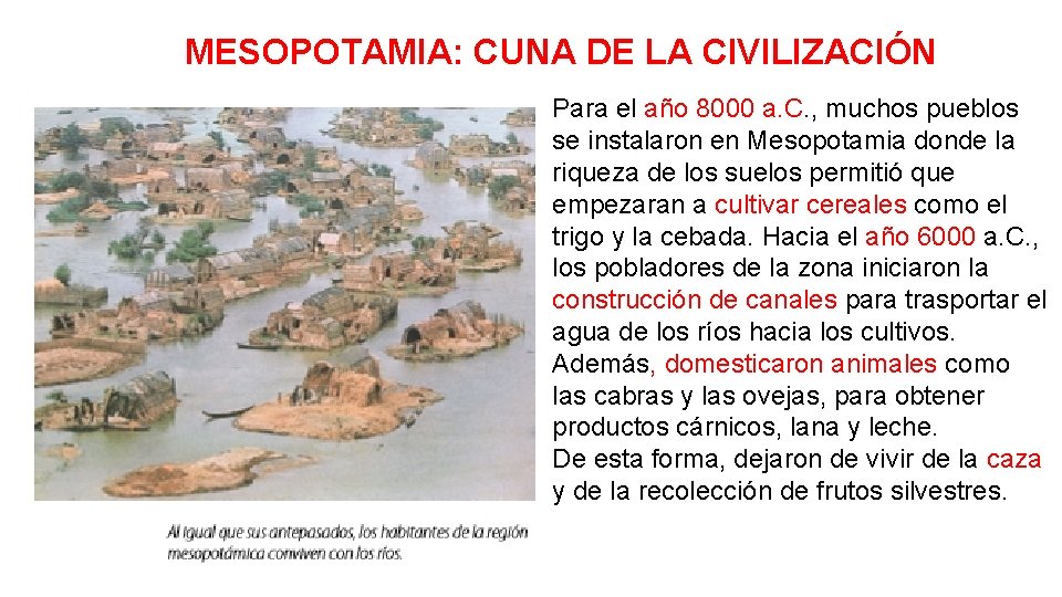MESOPOTAMIA: CUNA DE LA CIVILIZACIÓN Para el año 8000 a. C. , muchos pueblos