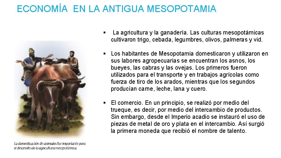 ECONOMÍA EN LA ANTIGUA MESOPOTAMIA § La agricultura y la ganadería. Las culturas mesopotámicas