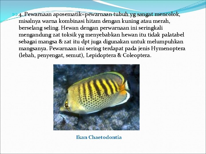  4. Pewarnaan aposematik=pewarnaan tubuh yg sangat mencolok, misalnya warna kombinasi hitam dengan kuning