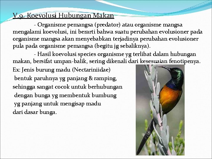 V. 9. Koevolusi Hubungan Makan - Organisme pemangsa (predator) atau organisme mangsa mengalami koevolusi,