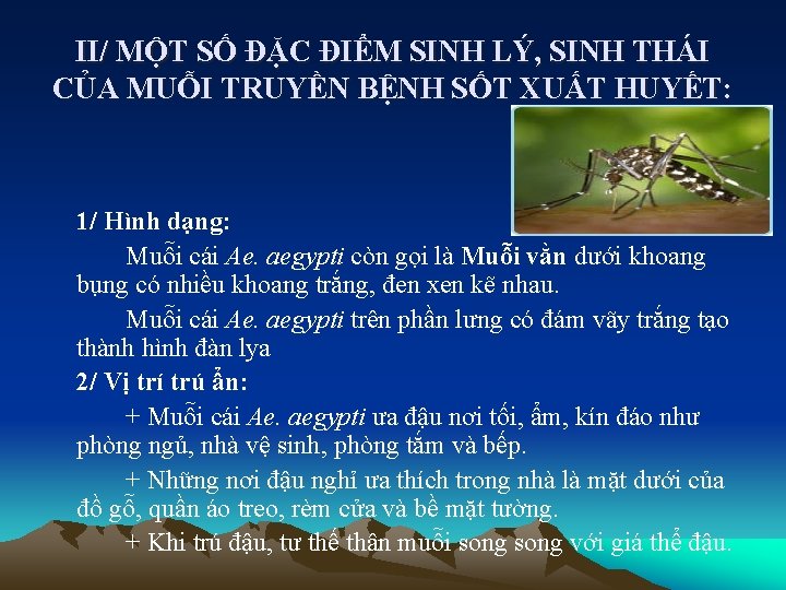 II/ MỘT SỐ ĐẶC ĐIỂM SINH LÝ, SINH THÁI CỦA MUỖI TRUYỀN BỆNH SỐT