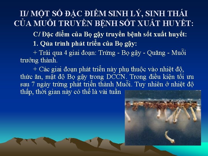II/ MỘT SỐ ĐẶC ĐIỂM SINH LÝ, SINH THÁI CỦA MUỖI TRUYỀN BỆNH SỐT