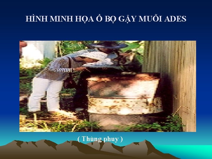 HÌNH MINH HỌA Ổ BỌ GẬY MUỖI ADES ( Thùng phuy ) 