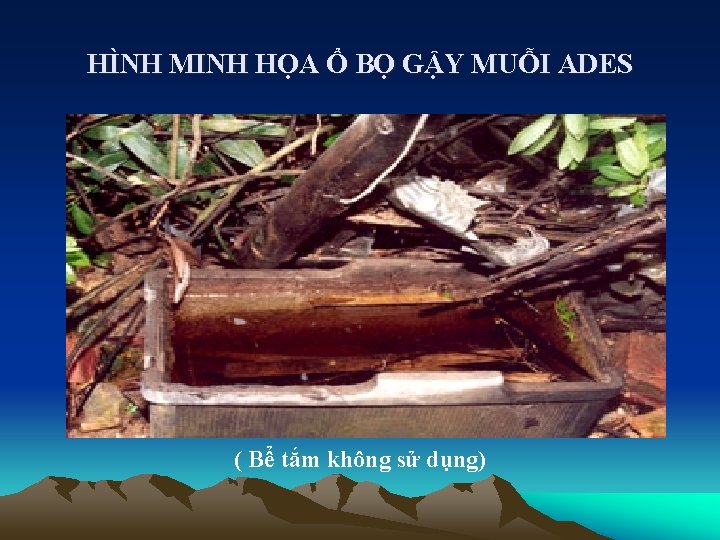 HÌNH MINH HỌA Ổ BỌ GẬY MUỖI ADES ( Bể tắm không sử dụng)