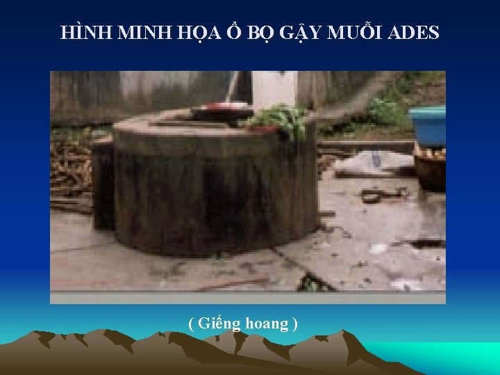 HÌNH MINH HỌA Ổ BỌ GẬY MUỖI ADES ( Giếng hoang ) 