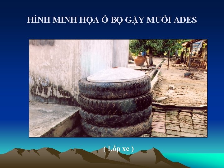 HÌNH MINH HỌA Ổ BỌ GẬY MUỖI ADES ( Lốp xe ) 