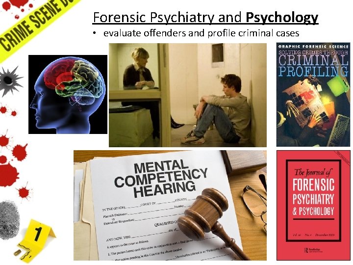 Forensic Psychiatry and Psychology • evaluate offenders and profile criminal cases Forensic Psychiatry and Psychology • evaluate offenders and profile criminal cases