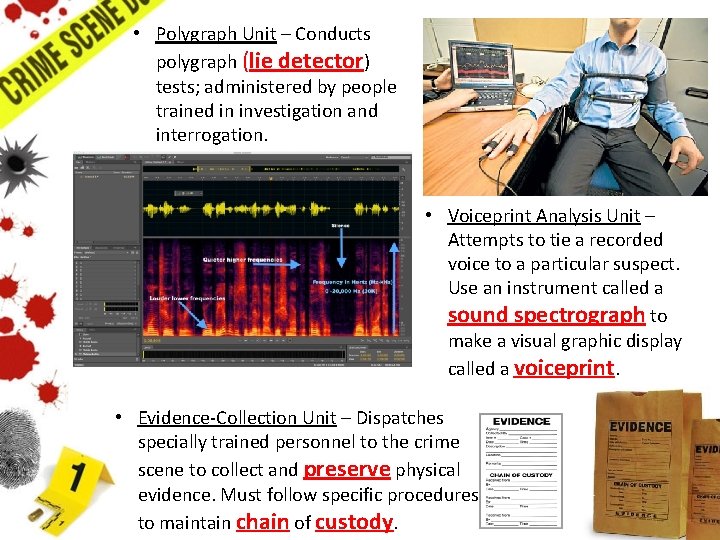 • Polygraph Unit – Conducts polygraph (lie detector) tests; administered by people trained • Polygraph Unit – Conducts polygraph (lie detector) tests; administered by people trained