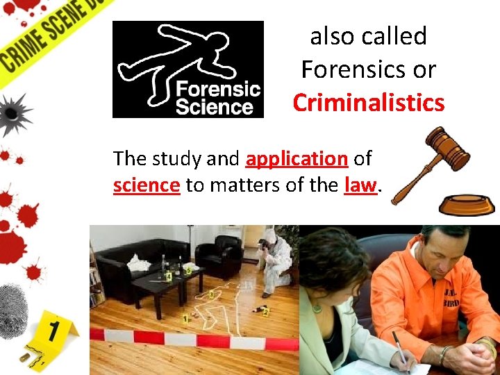 also called Forensics or Criminalistics The study and application of science to matters of