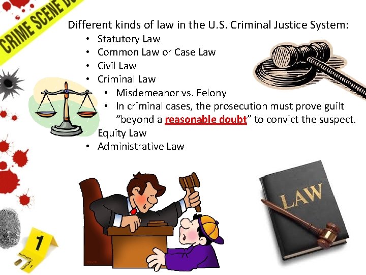 Different kinds of law in the U. S. Criminal Justice System: Statutory Law Common