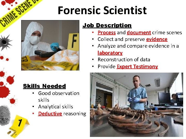Forensic Scientist Job • • • Description Process and document crime scenes Collect and