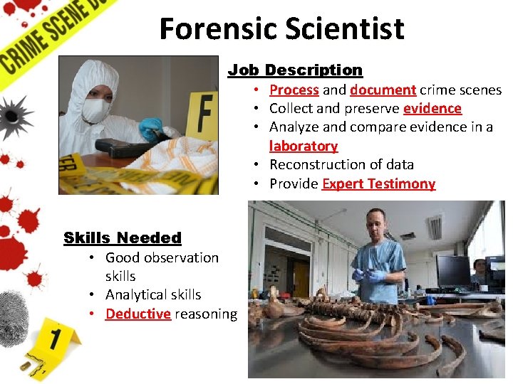Forensic Scientist Job • • • Description Process and document crime scenes Collect and Forensic Scientist Job • • • Description Process and document crime scenes Collect and