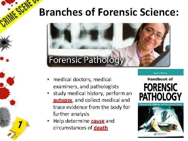 Branches of Forensic Science: Science • medical doctors, medical examiners, and pathologists • study Branches of Forensic Science: Science • medical doctors, medical examiners, and pathologists • study