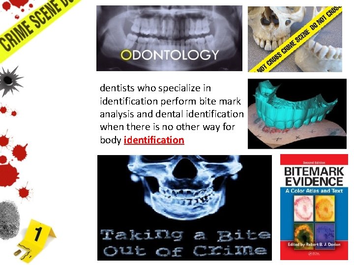 dentists who specialize in identification perform bite mark analysis and dental identification when there