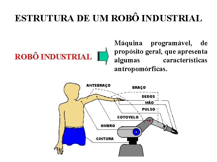 ESTRUTURA DE UM ROBÔ INDUSTRIAL Máquina programável, de propósito geral, que apresenta algumas características