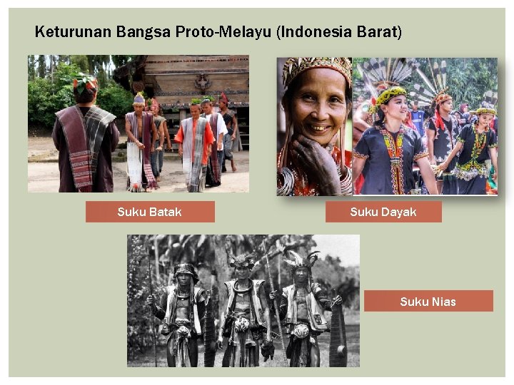 Keturunan Bangsa Proto-Melayu (Indonesia Barat) Suku Batak Suku Dayak Suku Nias 