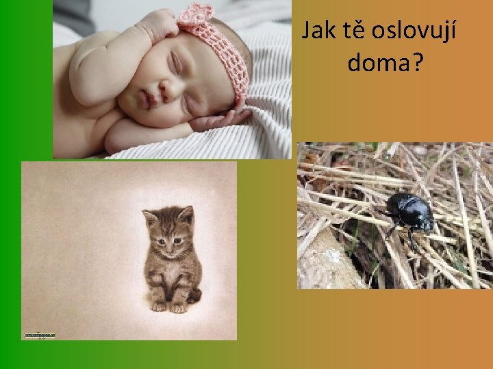  Jak tě oslovují doma? 