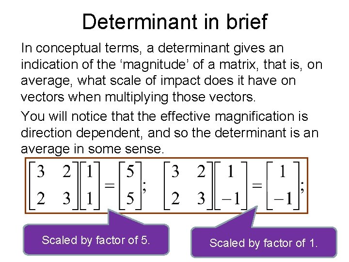 Determinant in brief In conceptual terms, a determinant gives an indication of the ‘magnitude’
