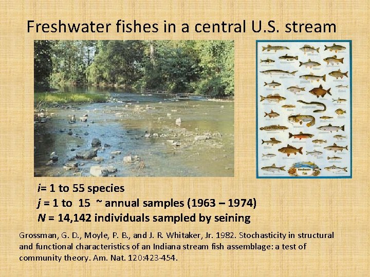 Freshwater fishes in a central U. S. stream i= 1 to 55 species j