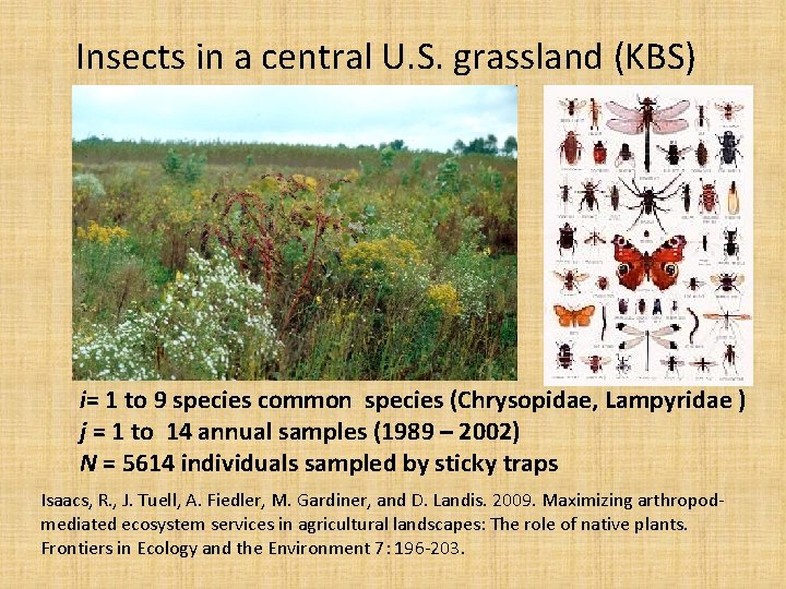 Insects in a central U. S. grassland (KBS) i= 1 to 9 species common