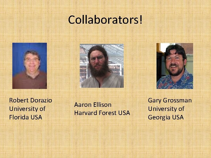 Collaborators! Robert Dorazio University of Florida USA Aaron Ellison Harvard Forest USA Gary Grossman