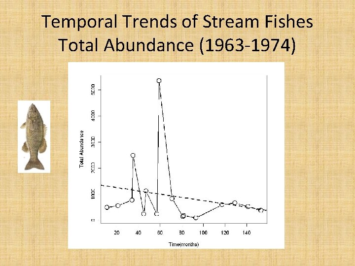 Temporal Trends of Stream Fishes Total Abundance (1963 -1974) 