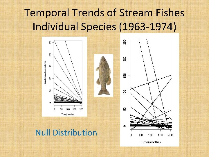 Temporal Trends of Stream Fishes Individual Species (1963 -1974) Null Distribution 