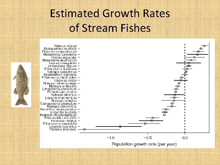 Estimated Growth Rates of Stream Fishes 