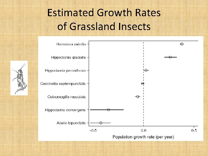 Estimated Growth Rates of Grassland Insects 