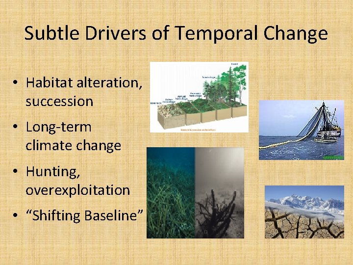 Subtle Drivers of Temporal Change • Habitat alteration, succession • Long-term climate change •