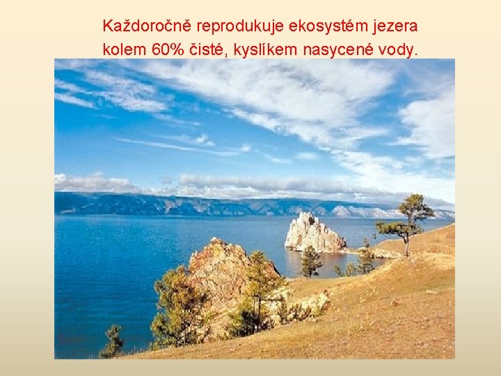 Každoročně reprodukuje ekosystém jezera kolem 60% čisté, kyslíkem nasycené vody. 