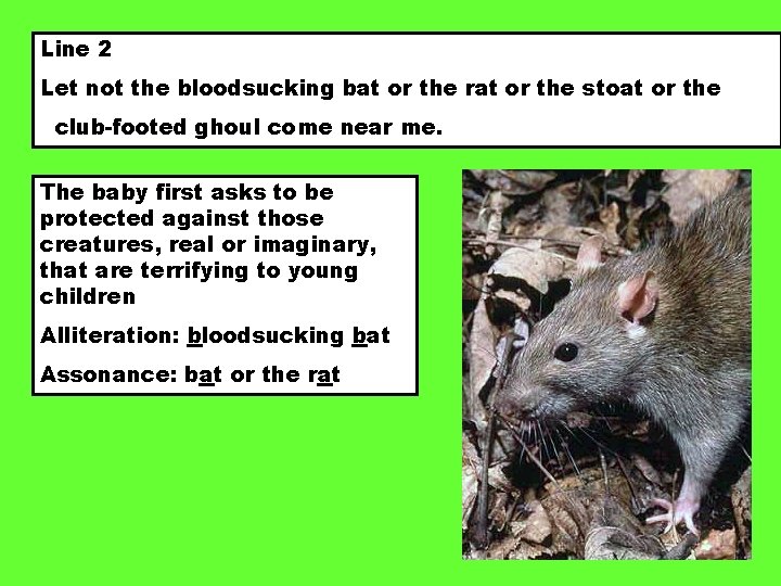Line 2 Let not the bloodsucking bat or the rat or the stoat or