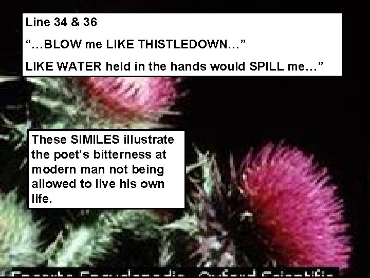 Line 34 & 36 “…BLOW me LIKE THISTLEDOWN…” LIKE WATER held in the hands