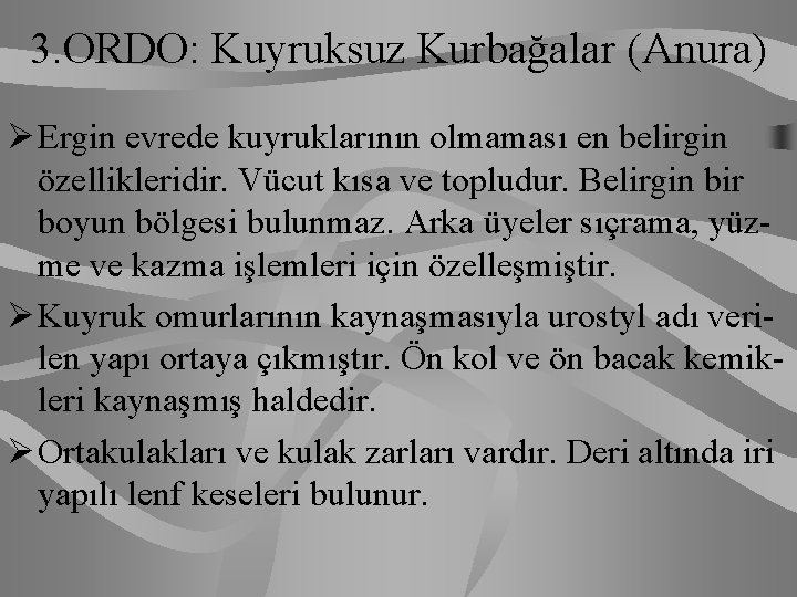 3. ORDO: Kuyruksuz Kurbağalar (Anura) Ø Ergin evrede kuyruklarının olmaması en belirgin özellikleridir. Vücut