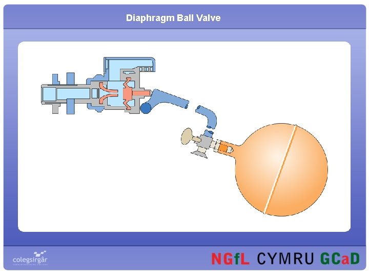 Diaphragm Ball Valve 