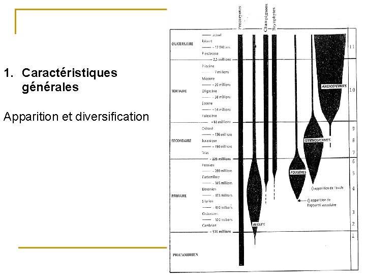 1. Caractéristiques générales Apparition et diversification 8 