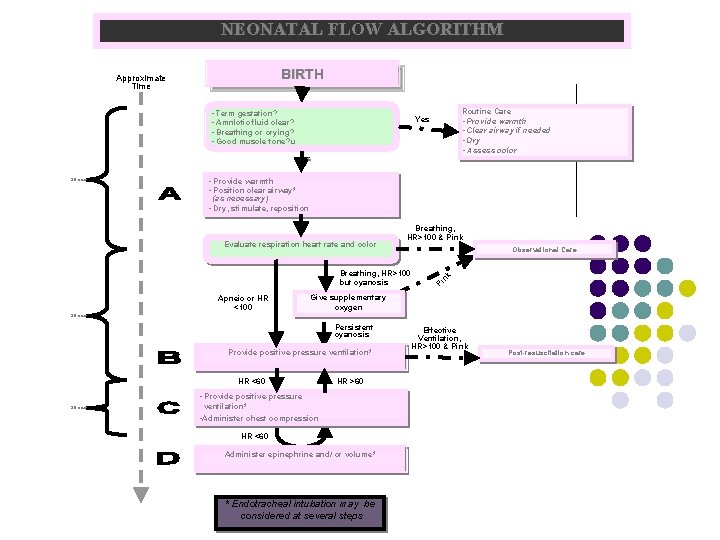 NEONATAL FLOW ALGORITHM BIRTH Approximate Time • Term gestation? • Amnlotic fluid clear? •