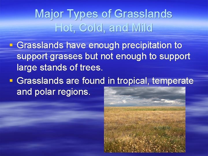 Major Types of Grasslands Hot, Cold, and Mild § Grasslands have enough precipitation to