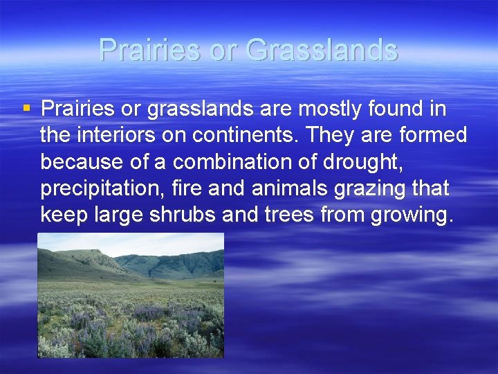 Prairies or Grasslands § Prairies or grasslands are mostly found in the interiors on