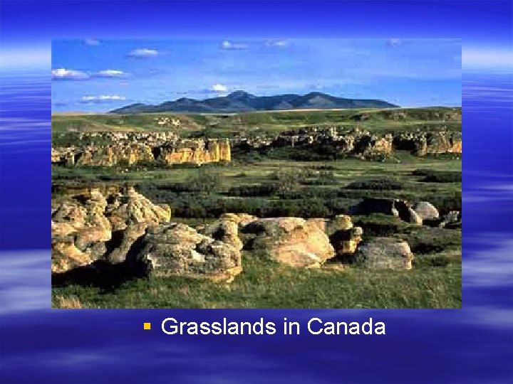 § Grasslands in Canada 