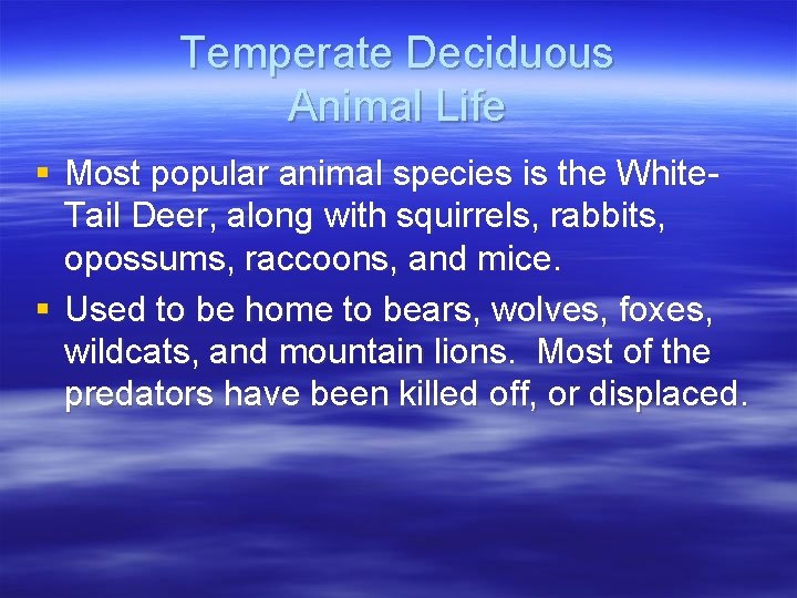 Temperate Deciduous Animal Life § Most popular animal species is the White. Tail Deer,