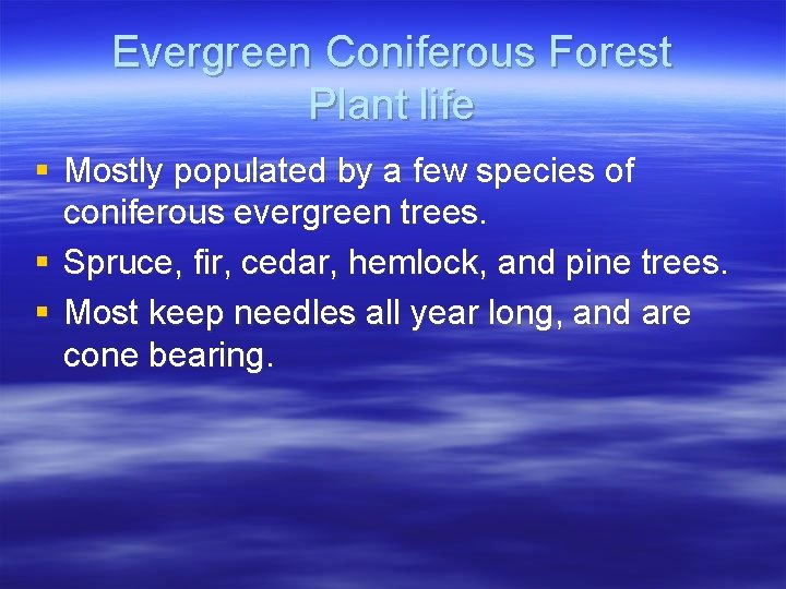 Evergreen Coniferous Forest Plant life § Mostly populated by a few species of coniferous