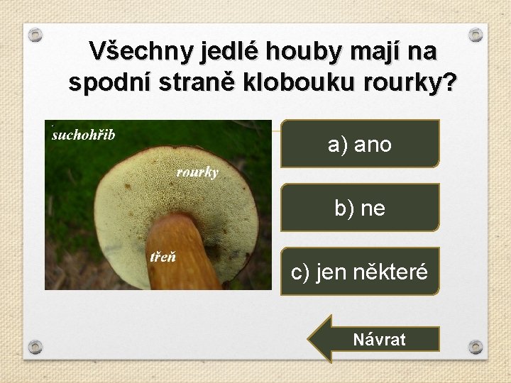 Všechny jedlé houby mají na spodní straně klobouku rourky? a) ano b) ne c)