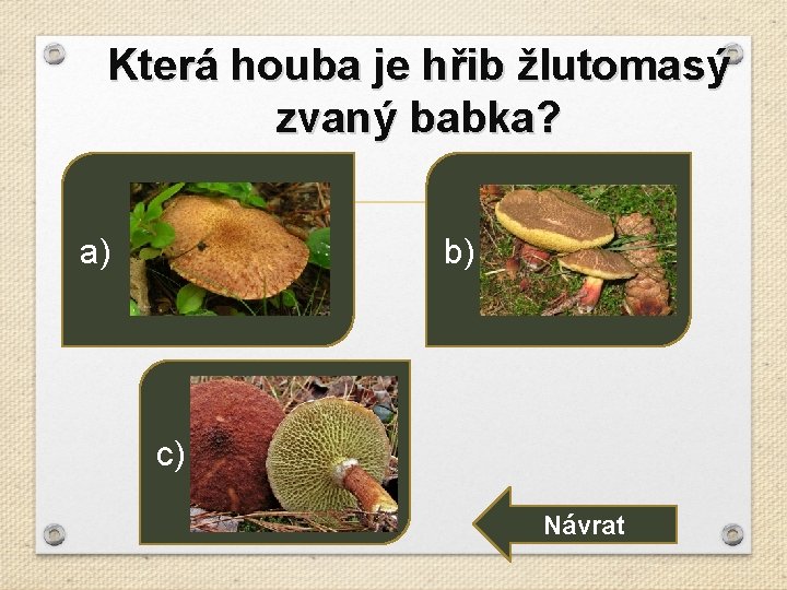 Která houba je hřib žlutomasý zvaný babka? b) a) c) Návrat 