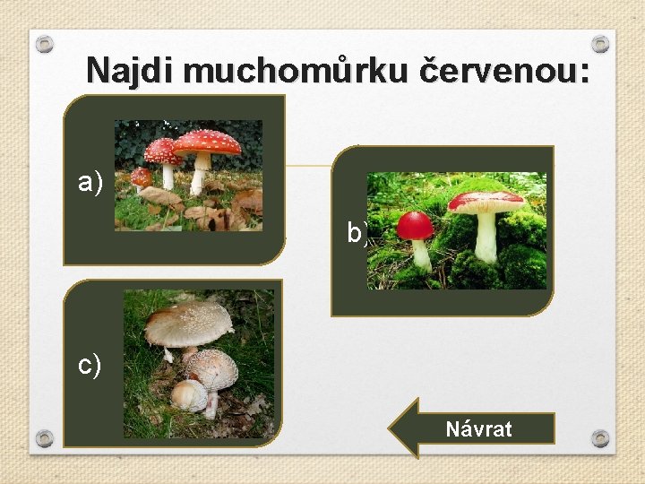 Najdi muchomůrku červenou: a) b) c) Návrat 