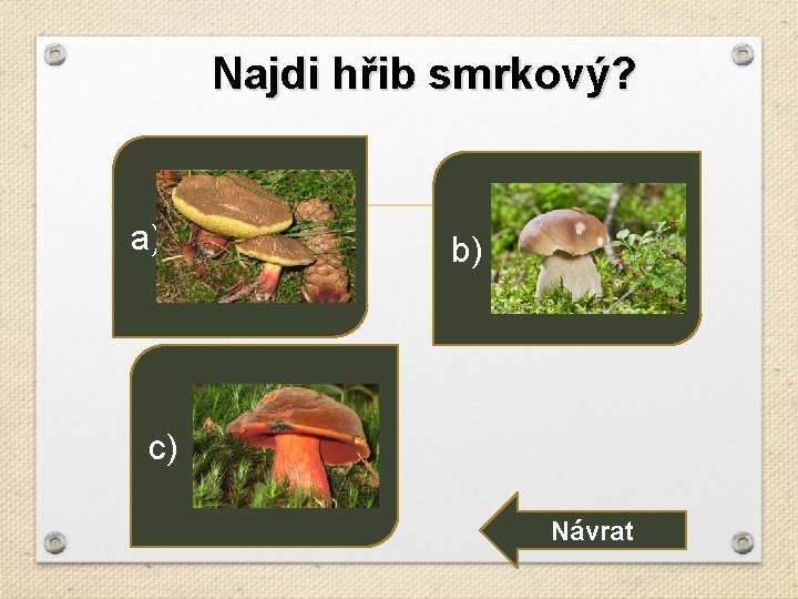 Najdi hřib smrkový? a) b) c) Návrat 