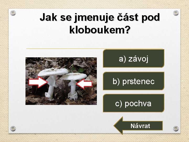 Jak se jmenuje část pod kloboukem? a) závoj b) prstenec c) pochva Návrat 