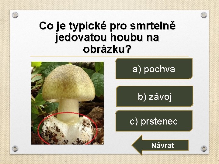 Co je typické pro smrtelně jedovatou houbu na obrázku? a) pochva b) závoj c)